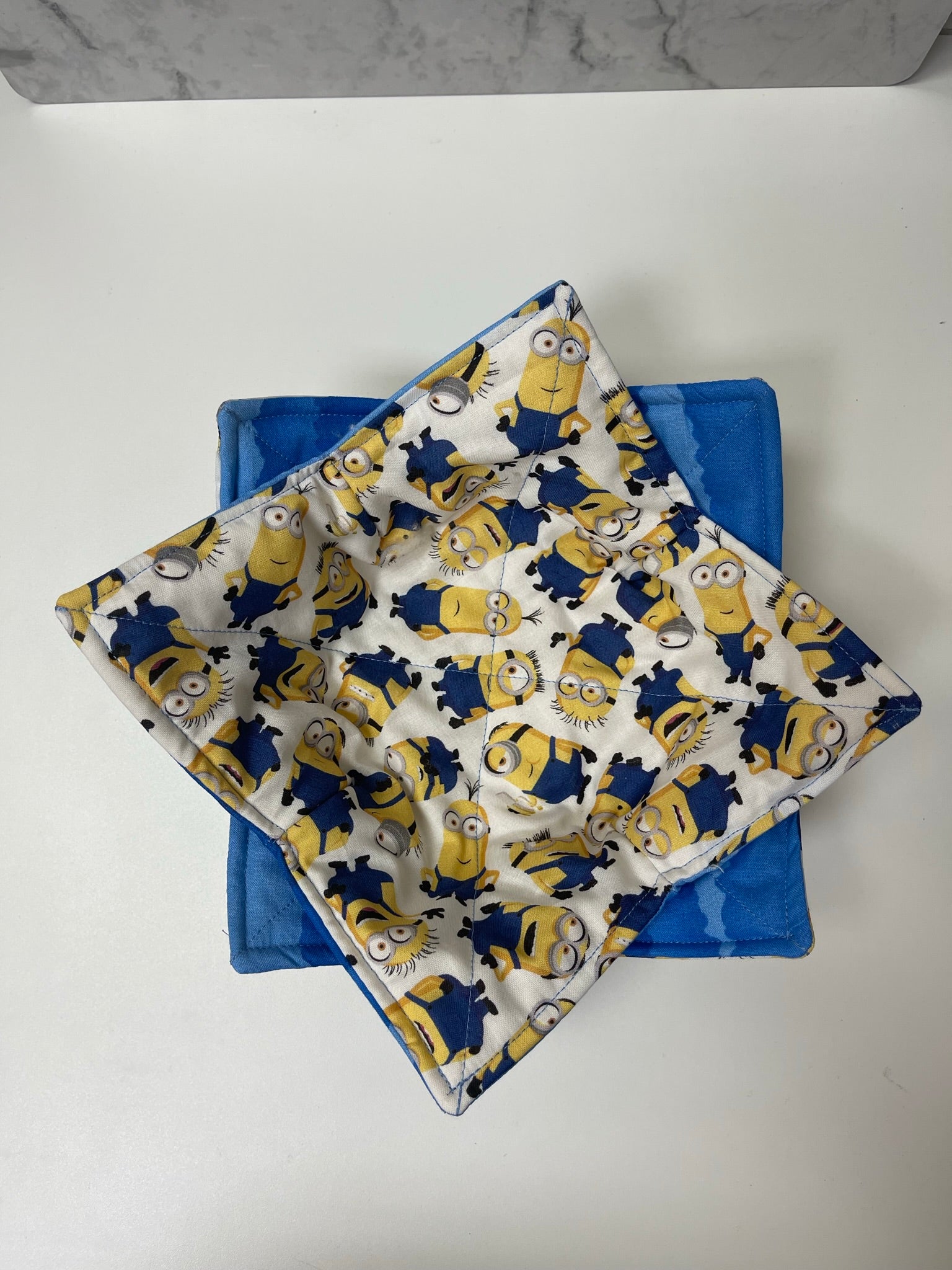 Bowl Cozy- Minions & Blue Sky